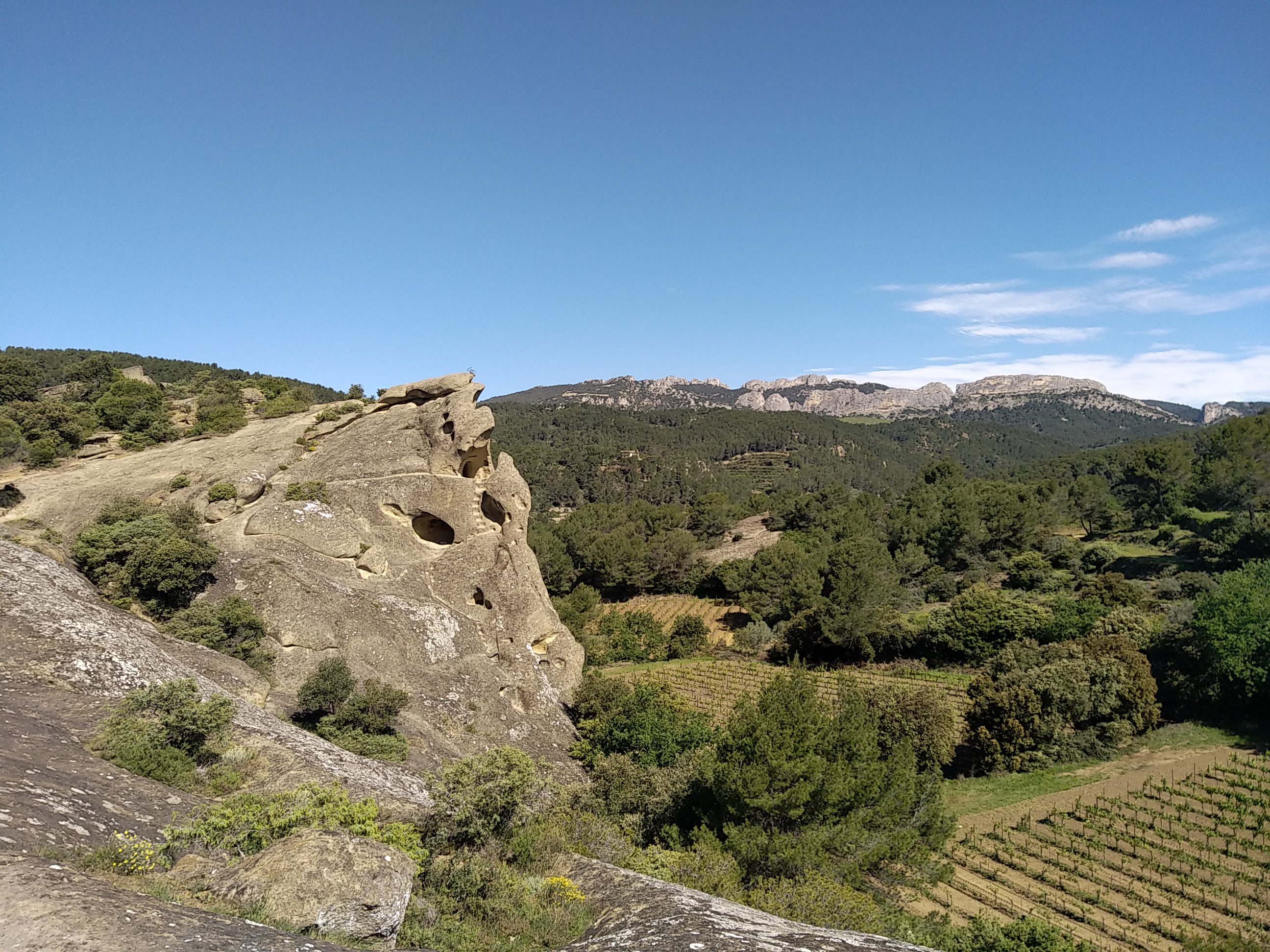 Le rocher de Rocalinaud avec vue sur les Dentelles et le Mt Ventoux