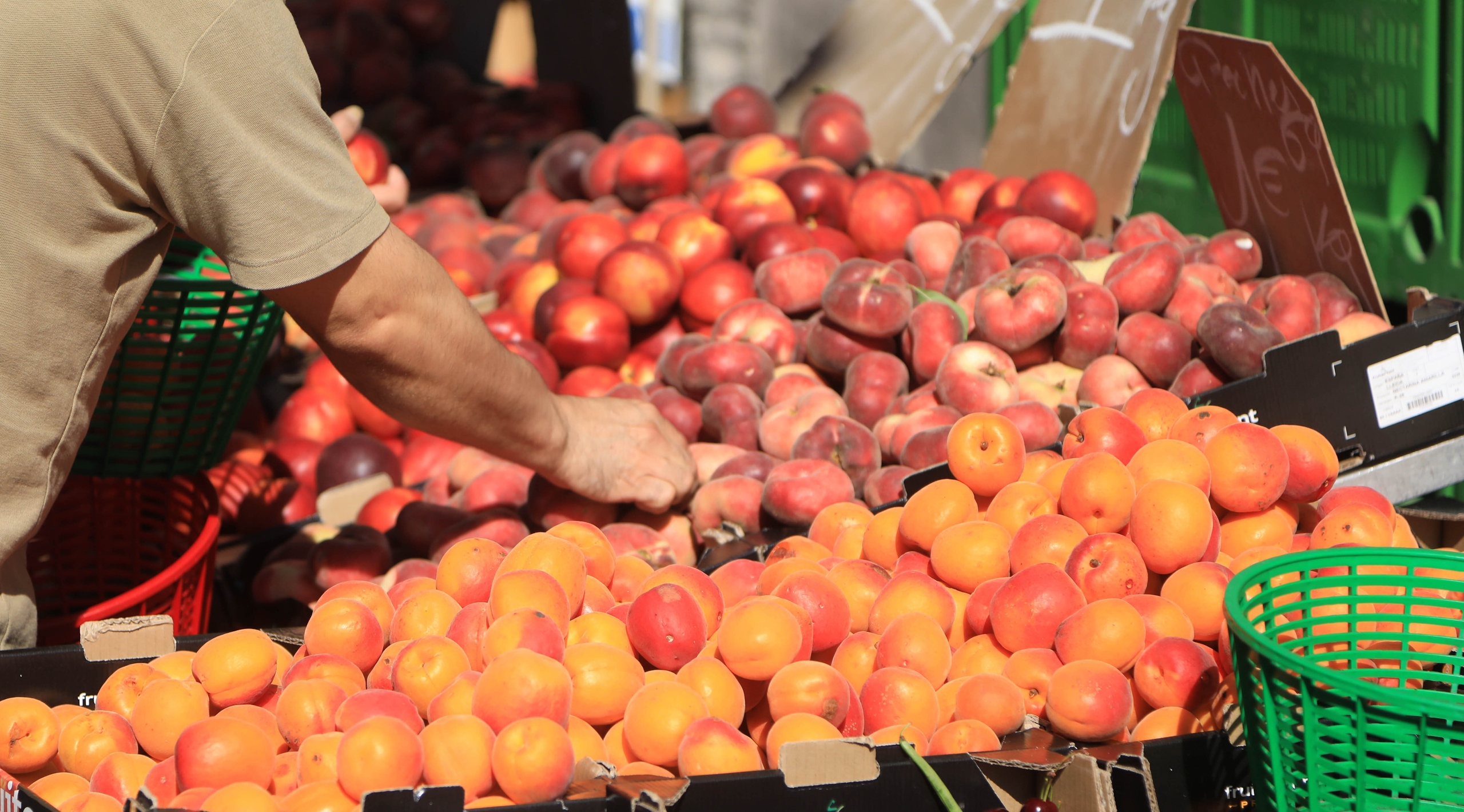 Etale de d'abricots et de pêches sur le marché